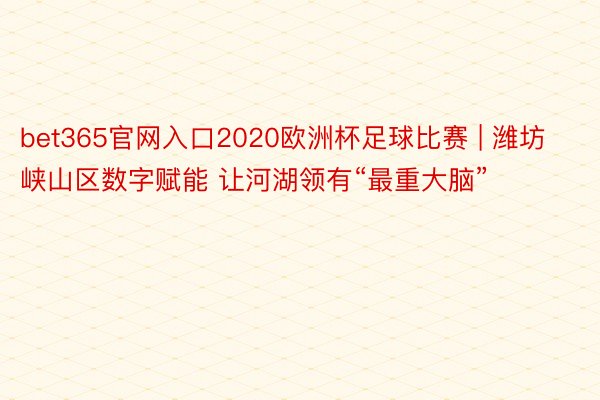 bet365官网入口2020欧洲杯足球比赛 | 潍坊峡山区数字赋能 让河湖领有“最重大脑”