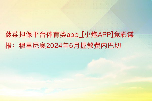 菠菜担保平台体育类app_[小炮APP]竞彩谍报：穆里尼奥2024年6月握教费内巴切